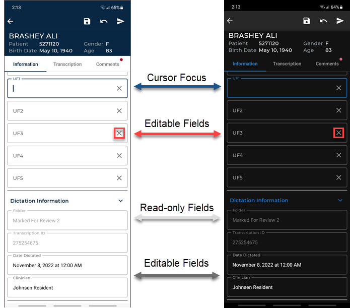 Transcription Editor Demographic Fields in light and dark modes